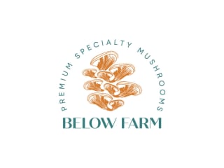 full visual brand development I Below Farm