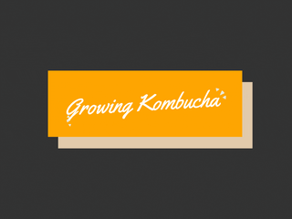 SEO Content & Visuals For Growing Kombucha 🍯