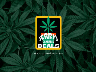 Jerry's Cannabis Deals - Brand Identity
