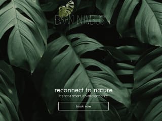 Baan Nimbus - Crafting a brand and landing page
