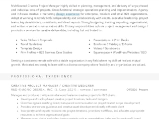 Creative Project Manager Resume