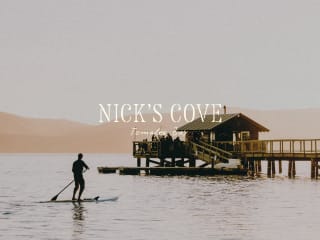 Nick's Cove Branding