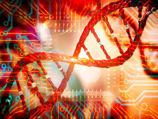 Bioinformatics and DNA