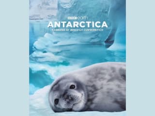 McWane Science Center on Instagram: “Antarctica🦭 It is a land o
