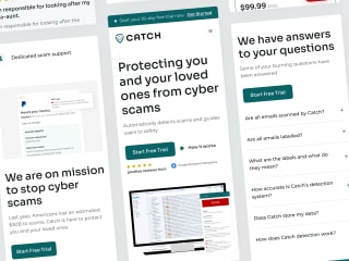 Ai Scam Protection Plugin | Catch | Web Design & Development