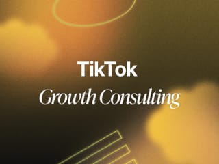 TikTok Growth Consulting