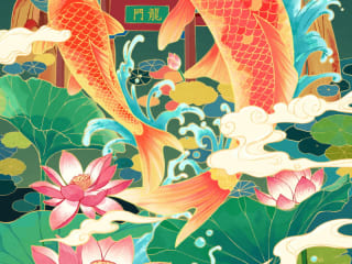 Chinese Koi Fish Illustration | Lucky Sign