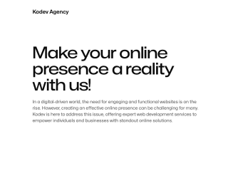 Web Design Agency Website