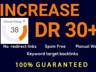 Ahrefs DR 30 Plus of your website safe and guaranteed