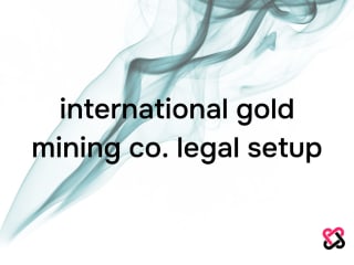 Int. Gold Mining Co. Legal Setup