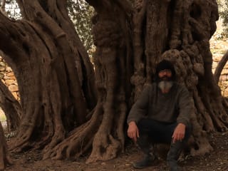 Protecting One of the World's Oldest Olive Trees Is a 24/7 Job 