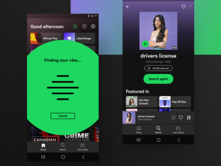 Spotify Search Music Concept