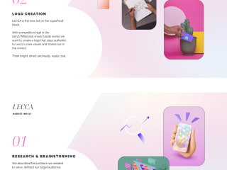 Brand Identity, Logo & Landing Page Creation for Lecca Snax.