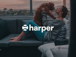 Harper — Creating a pet brand that isn't lame