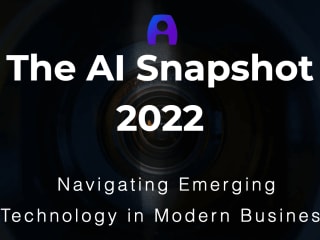 The AI Snapshot 2022