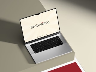 Embryōnic Studio // Expert Driven Revamp