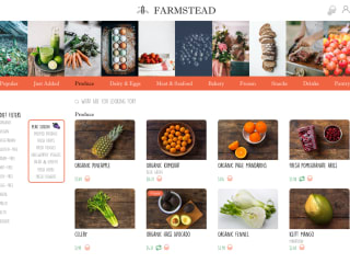 Web & Brand Design for FarmsteadApp