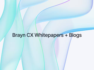 Content Writer | White Paper Writer - Brayn CX