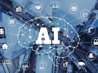 Transformative AI Development: Case Study