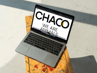 CHACO — Custom Wordpress Theme