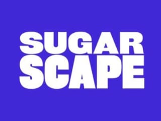 Sugarscape relaunch