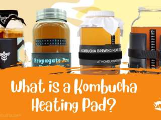 6 Best Kombucha Heating Pads For A Tasty Booch | Growing Kombuc…