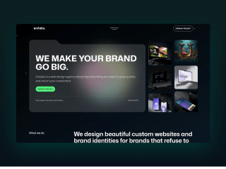 Web Agency Website Design