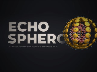 EchoSphero (Interactive Link)