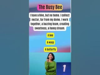 The busy bee riddles questions - YouTube