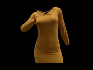 Marvelous Designer - Female Cord Collared Dress
