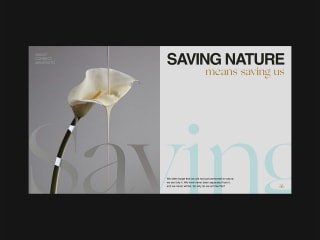Nature Rescue Non-profit ~ Hero Web Design