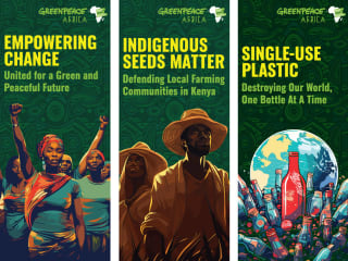 Greenpeace Africa - Fund Raising Standee Design