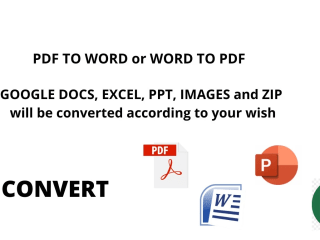 convert file to PDF, word, google doc, docs, excel, ppt, zip etc