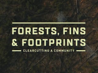 Documentary | Forests, Fins & Footprints