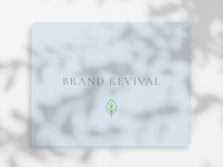 Branding Revival 360º for MissTea on Behance