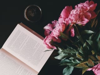 5 Romance Books to Swoon Over