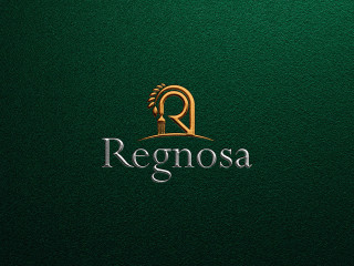 Regnosa Logo & Brand Identity