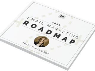 Email Marketing Strategy for Tracy Pruzan-Roy