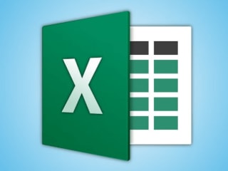 Microsoft Excel Data Management