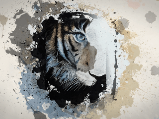 🎨 Timelapse Video: Tiger