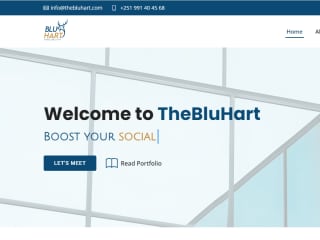 The Blu Hart - Marketing Firm