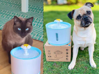  Pet Care Products Promotion For Petilicious brand 