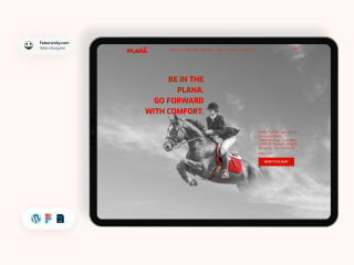 Web Design & Development - Plana Vision Film Portfolio