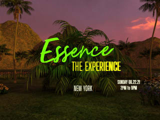 3D Flyer for The Essence Experience