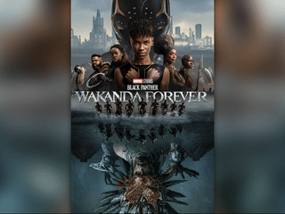 🐯 Black Panther: Wakanda Forever
