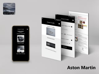 Aston Martin Car Owner's Guide