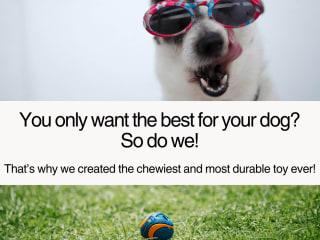 You want the best for your dog? So do we!