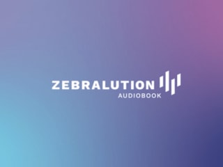 Zebralution Animated Video