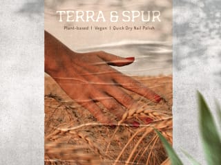 Brand Identity Design and Packaging Design - Terra and Spur