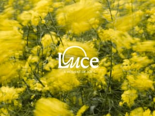 Luce - Vibrant Sustainable Candle Brand
